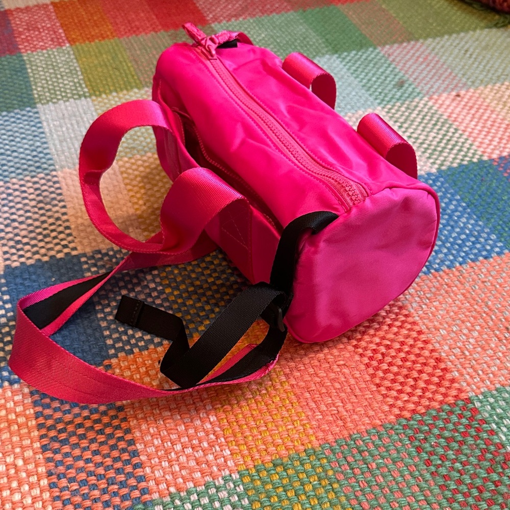 Everlane Pink Crossbody Bag